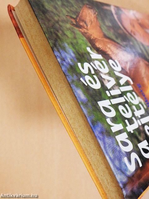 Sara és a telivér rejtélye