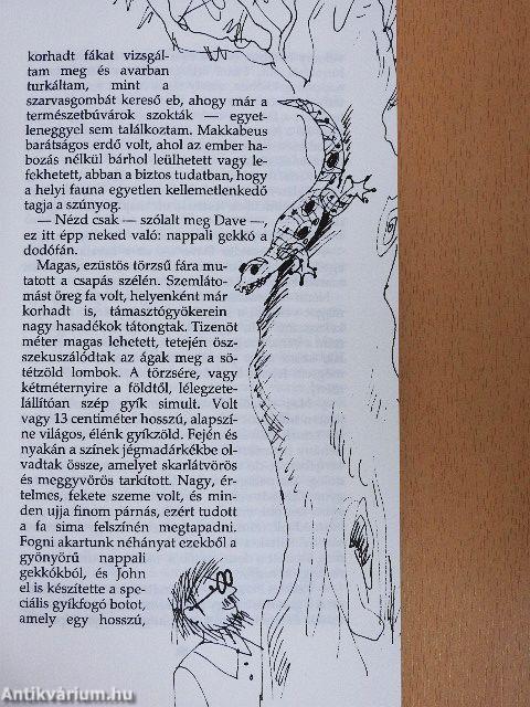 Aranydenevérek, rózsaszín galambok