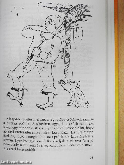 Hogyan neveljünk...? 1-2. (aláírt példány)