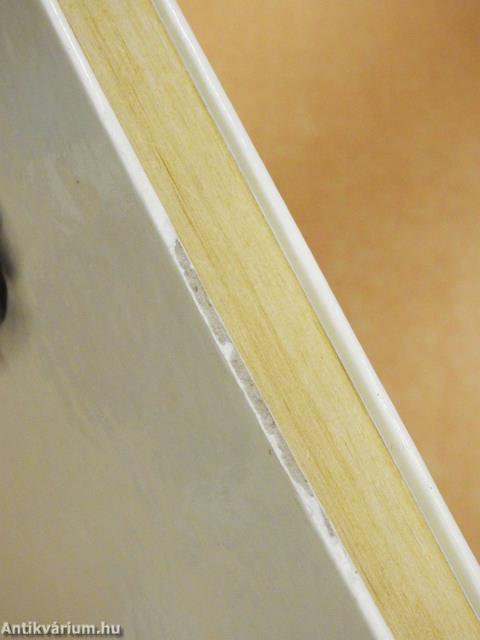 Sok szeretettel (dedikált példány)