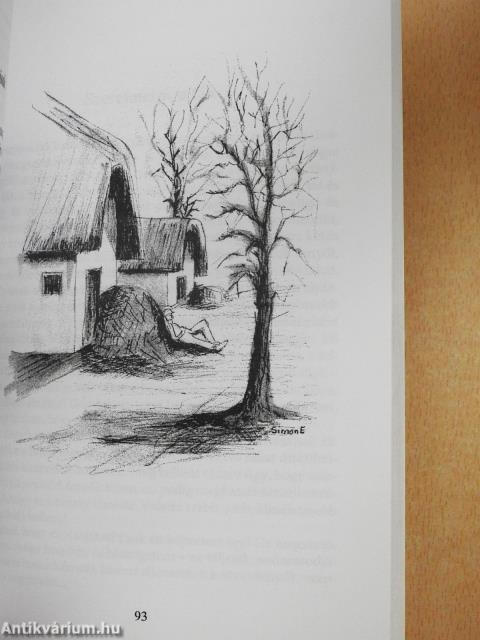 Napisten udvarában (dedikált példány)