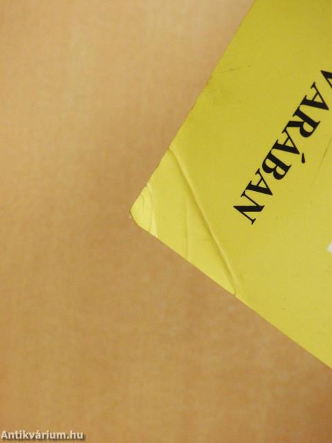 Napisten udvarában (dedikált példány)