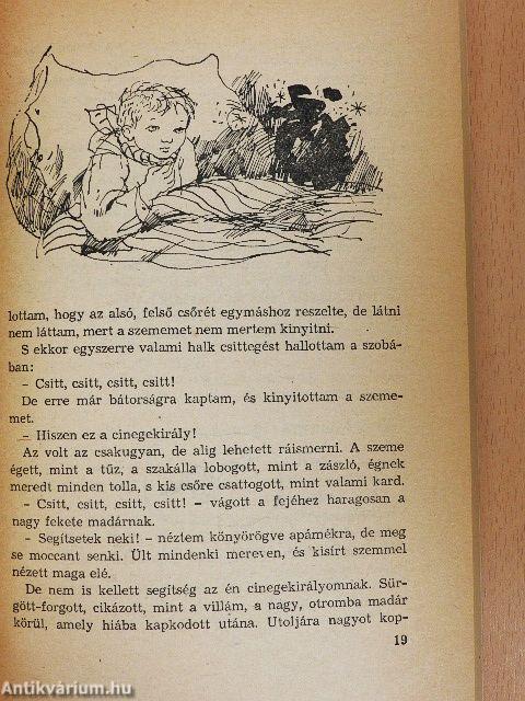 Kincskereső kisködmön