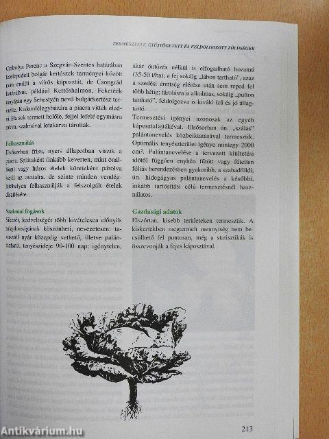 Hagyományok - Ízek - Régiók I-II.