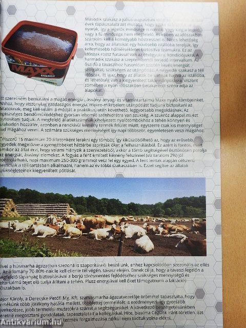 Holstein Magazin 2016/2.