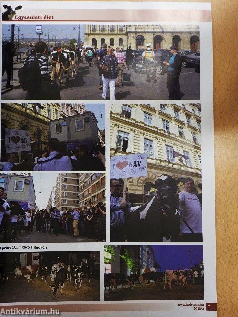Holstein Magazin 2016/2.