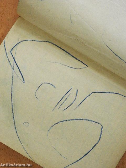 Amatőr fényképezők tankönyve és lexikona