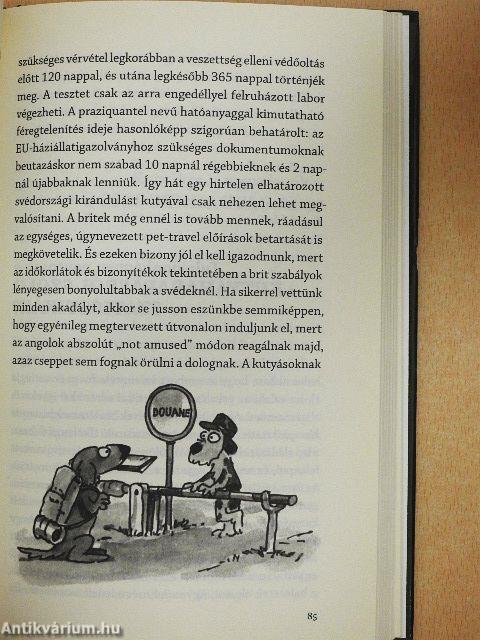 Mit olvas le a kutya a lámpaoszlopról?