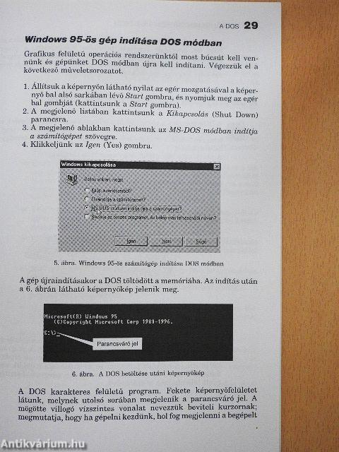 Operációs rendszer és fájlkezelés