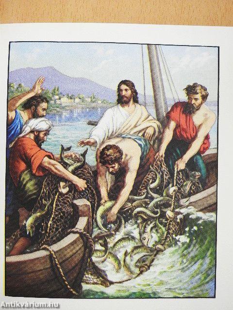 Képes Új Testamentum Gyermekeknek