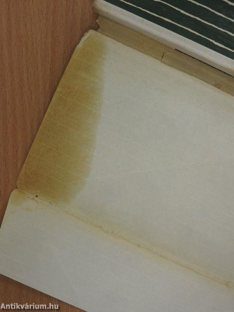 Viharos mennyország (dedikált példány)