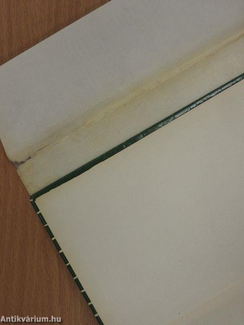 Viharos mennyország (dedikált példány)