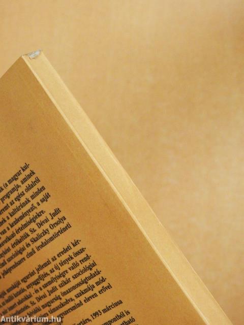 Identitás-szélzúgásban (dedikált példány)