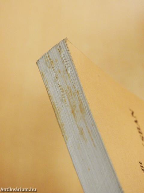 Identitás-szélzúgásban (dedikált példány)