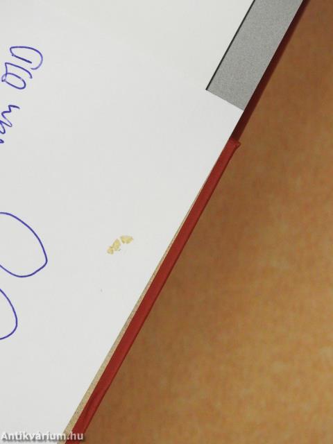 Karácsonyi angyal (dedikált példány)