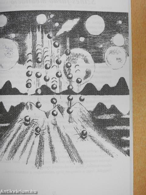 Fénynapló (dedikált példány)