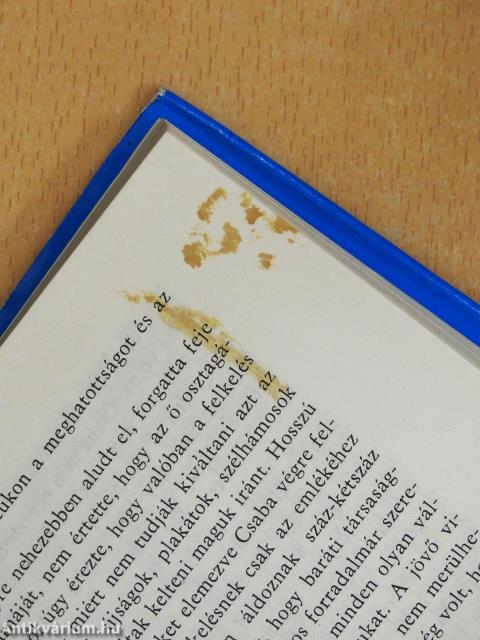 Sötét angyal (dedikált példány)