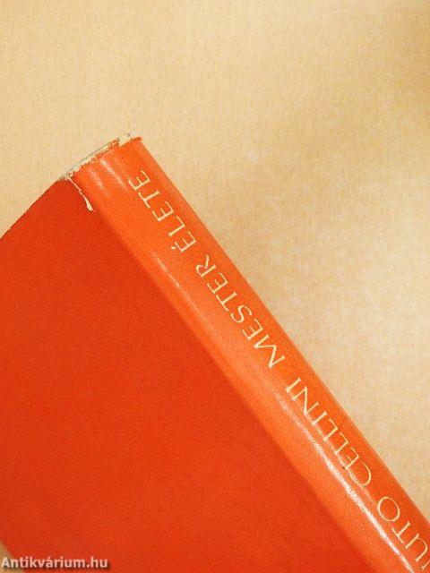 Benvenuto Cellini mester élete és munkássága