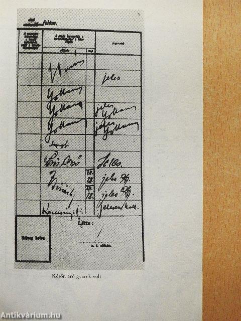 Karinthy Ferenc alkotásai és vallomásai tükrében