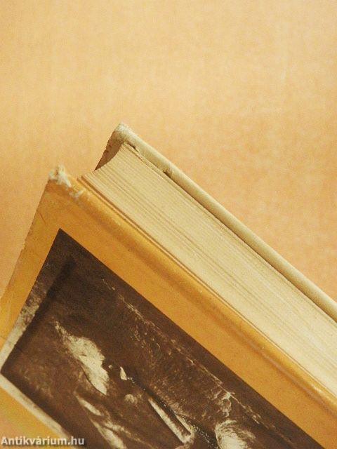 Nők évkönyve 1977