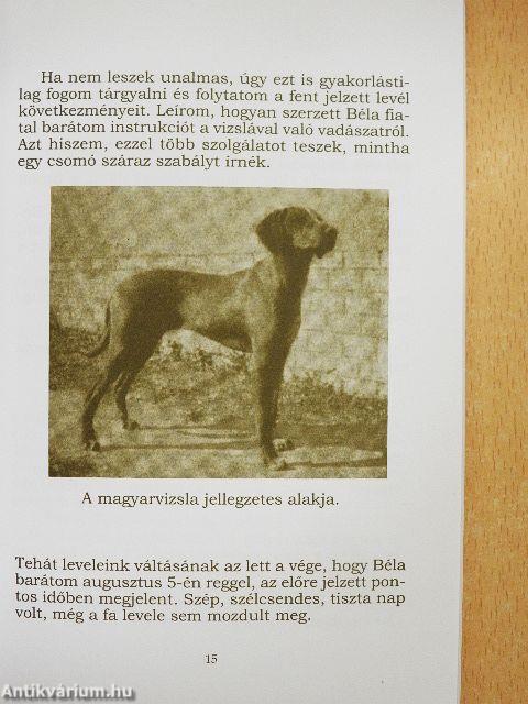 A vadász és vizslája