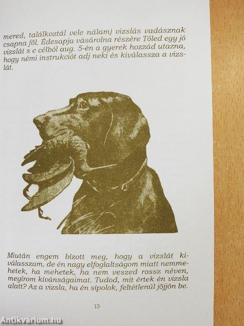 A vadász és vizslája