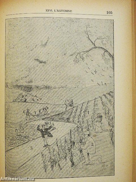 Premiéres Lecons de Vocabulaire et d'Élocution