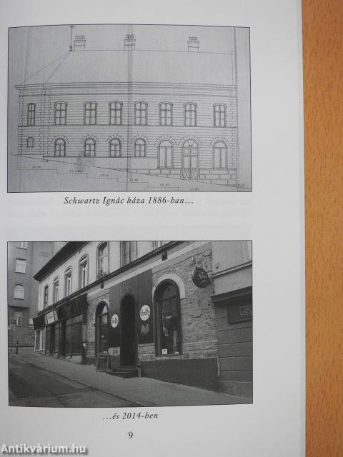 Az eltékozolt palota (dedikált példány)