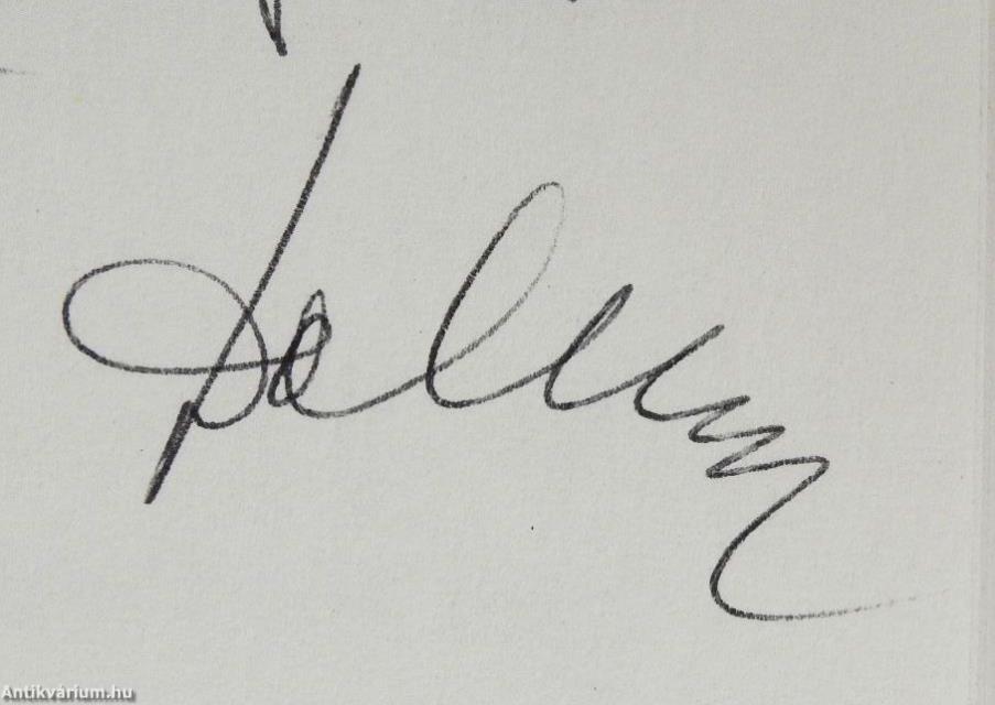 Súlyos betegen élni, méltósággal meghalni (dedikált példány)