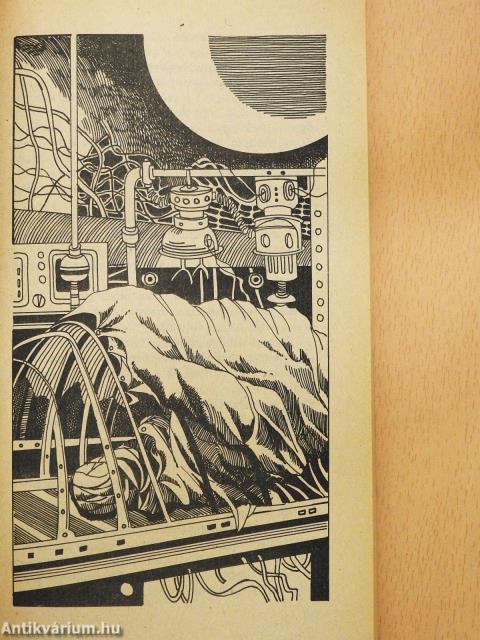 Aranybolygó (dedikált példány)