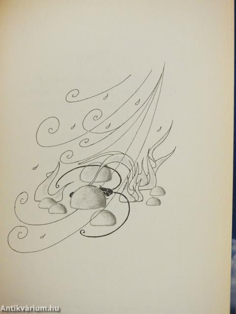 Meztelenül (dedikált példány)