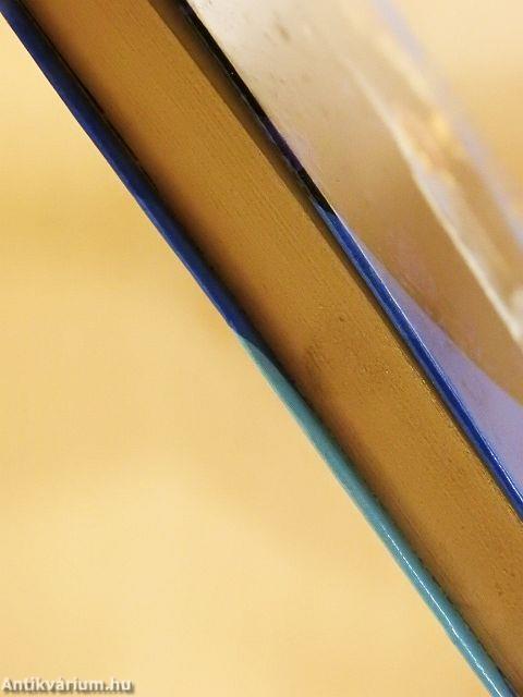 Vágta az óceánhoz