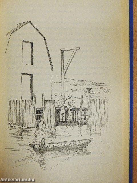 Vágta az óceánhoz