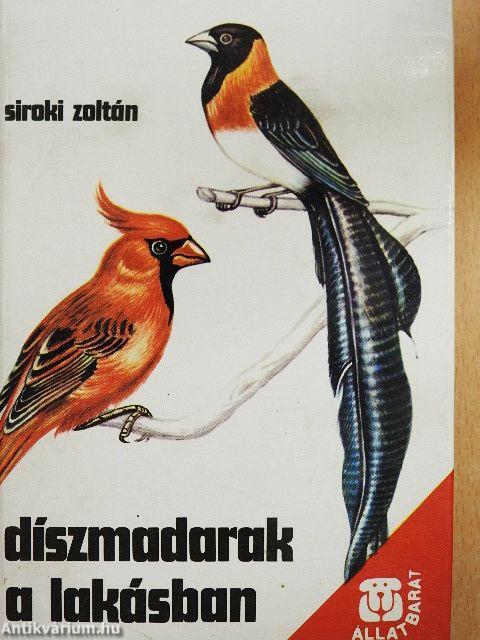 Díszmadarak a lakásban