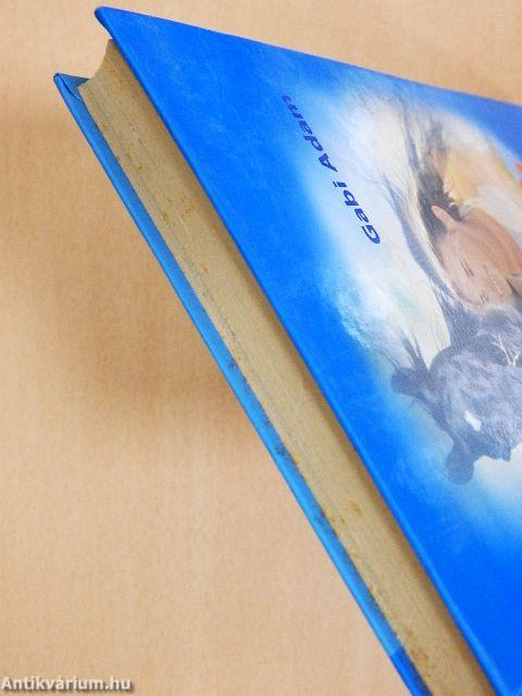 Diablo, álmaim lova