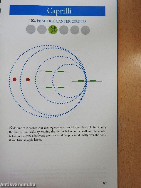 Creative Riding in the Arena