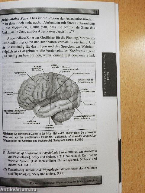 Ein Kurzer Illustrierter Wegweiser um den Islam zu Verstehen