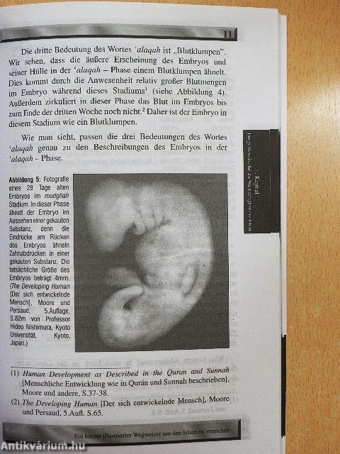 Ein Kurzer Illustrierter Wegweiser um den Islam zu Verstehen