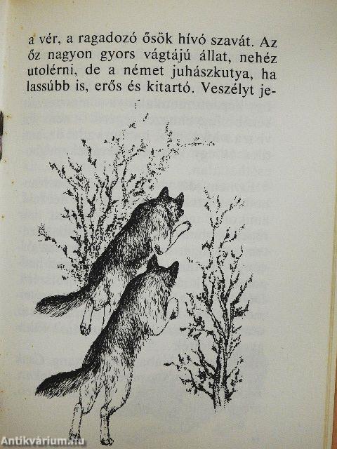 Szeretnék egy német juhászkutyát