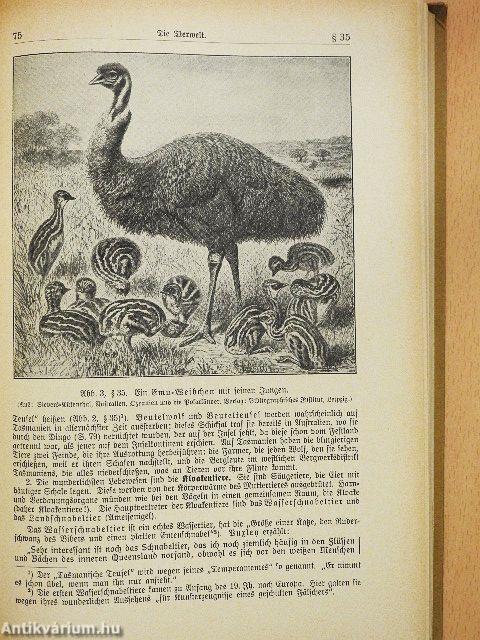 Australien, Ozeanien und Antarktis (gótbetűs)