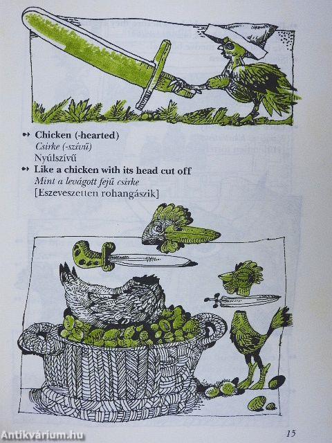 Képes angol szólásszótár