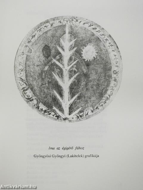 Hazafelé (aláírt példány)