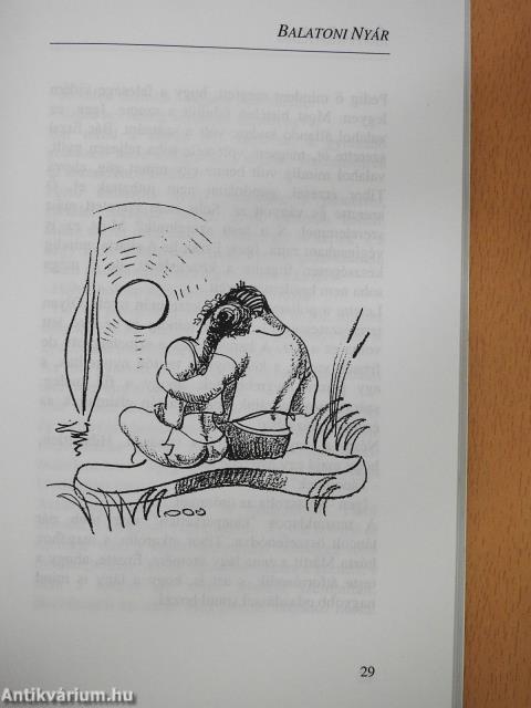 Balatoni nyár (dedikált példány)