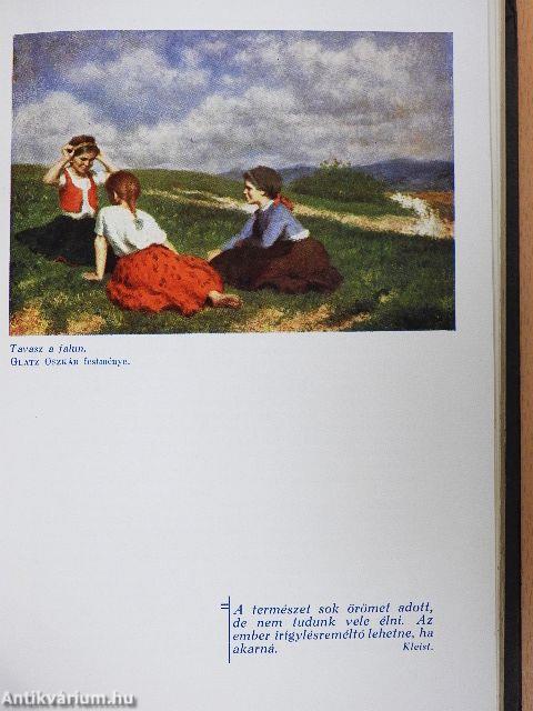 Nyitott könyv