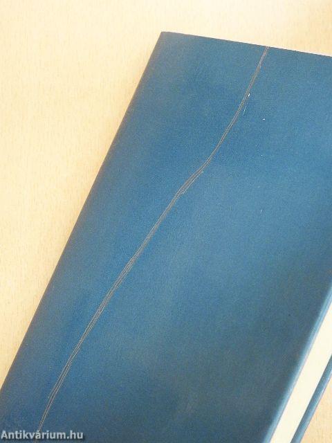 Kolumbusz Kristóf, az óceán Don Quijotéja