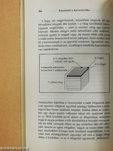 Káoszból a harmóniába