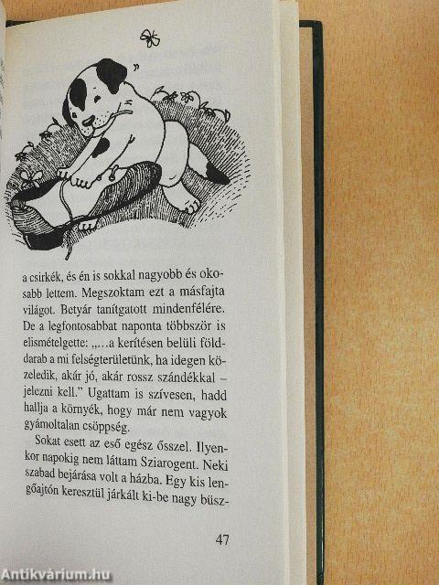 Egy kölyökkutya naplója