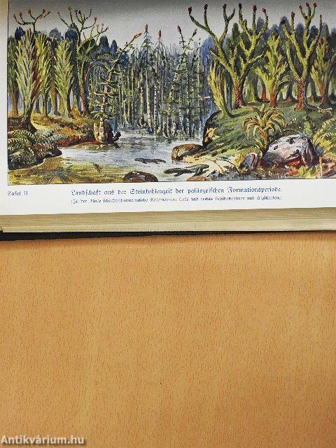 Wie entstanden Weltall und Menschheit? (gótbetűs)