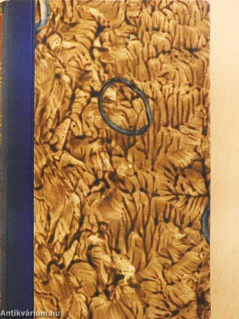 Die Brüder Karamasow I-II. (gótbetűs)