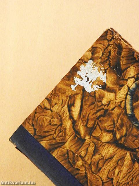 Die Brüder Karamasow I-II. (gótbetűs)